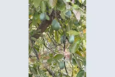 14097 Pauma Vista Drive, Valley Center, CA 92082 - Photo 14