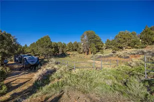 1841 Golden Rod Ave, Big Bear City, CA 92314 - Photo 10