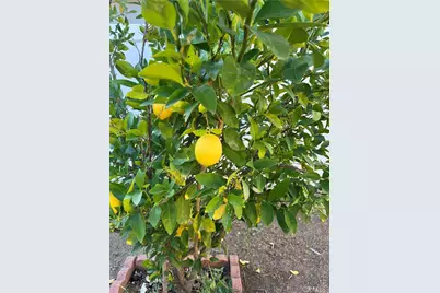 24931 Heil Drive, Moreno Valley, CA 92553 - Photo 54