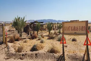 44624 Demmiel Rd, Yermo, CA 92398 - Photo 10