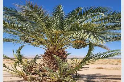 44624 Demmiel Road, Yermo, CA 92398 - Photo 4