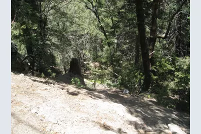 0 Forest Lane, Twin Peaks, CA 92391 - Photo 4