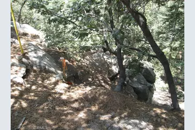 0 Forest Lane, Twin Peaks, CA 92391 - Photo 6