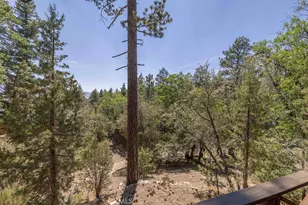 59 Lakeview Trail, Fawnskin, CA 92333 - Photo 36