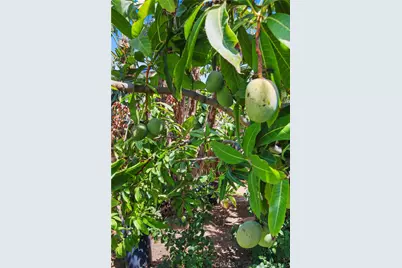 10130 Gerald Avenue, North Hills, CA 91343 - Photo 36