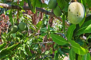 10130 Gerald Ave, North Hills, CA 91343 - Photo 36