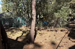 343 Holmes Ln, Sugarloaf, CA 92386 - Photo 24