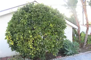 15856 Lawnhill Dr, La Mirada, CA 90638 - Photo 30