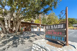 34 Manker Flts, Mount Baldy, CA 91759 - Photo 54