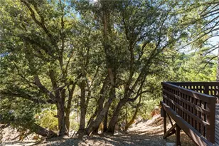 34 Manker Flts, Mount Baldy, CA 91759 - Photo 38