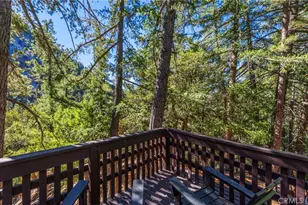 34 Manker Flts, Mount Baldy, CA 91759 - Photo 44