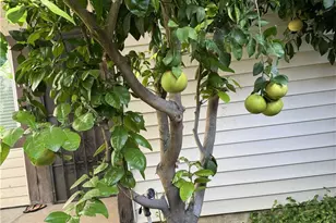 1115 E Truman, West Covina, CA 91790 - Photo 18