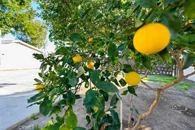 1104 Williamson, Fullerton, CA 92833 - Photo 20