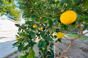 1104 Williamson, Fullerton, CA 92833 - Photo 20