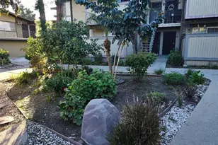 832 Coriander Dr, Torrance, CA 90502 - Photo 12