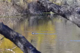 21734 Appaloosa Ct, Canyon Lake, CA 92587 - Photo 36