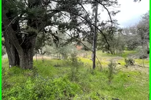 13672 Fair Oak Rd, Clearlake, CA 95424 - Photo 1