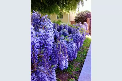 10462 Molette, Bellflower, CA 90706 - Photo 22