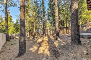 53570 Marian View, Idyllwild, CA 92549 - Photo 42