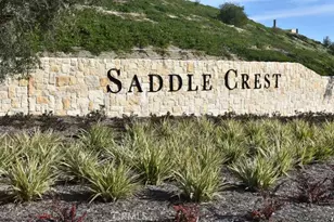 28912 Auburn Hls, Silverado, CA 92676 - Photo 1