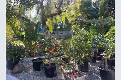 27401 Ortega, San Juan Capistrano, CA 92675 - Photo 6