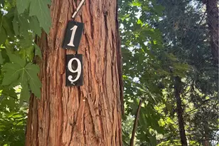 719 Woodland, Crestline, CA 92325 - Photo 6