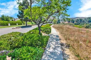 730 S Quail, Anaheim Hills, CA 92807 - Photo 64