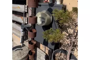 616 E 135th, Los Angeles, CA 90059 - Photo 4