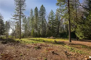 13971 Ryans Ranch, Grass Valley, CA 95945 - Photo 42