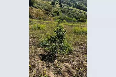 24385 Terreno, Temecula, CA 92590 - Photo 14