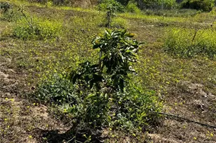 24385 Terreno, Temecula, CA 92590 - Photo 14