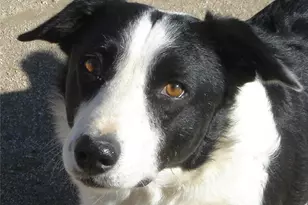 31464 Daybreak Ct, Menifee, CA 92584 - Photo 28