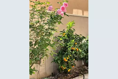 37 Peony, Irvine, CA 92618 - Photo 42