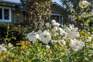 2011 Redberry, North Tustin, CA 92705 - Photo 46