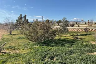 9628 7th, Victorville, CA 92392 - Photo 8