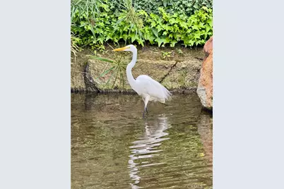 4140 Workman Mill #253, Whittier, CA 90601 - Photo 50