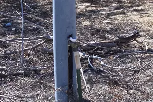 69874 Sunny Sands, 29 Palms MCB, CA 92277 - Photo 6