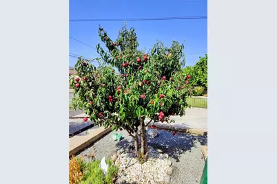 421 E 219th, Carson, CA 90745 - Photo 50