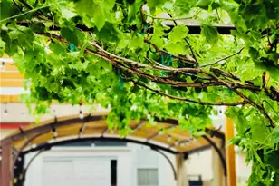 421 E 219th, Carson, CA 90745 - Photo 46