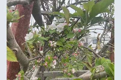 8234 Stonewood, Jurupa, CA 92509 - Photo 36