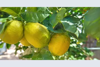 11140 Bridgepoint Court, Riverside, CA 92505 - Photo 60