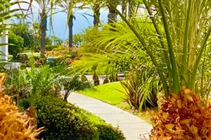 34134 Selva Rd, Dana Point, CA 92629 - Photo 6