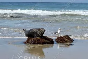 34134 Selva Rd, Dana Point, CA 92629 - Photo 36