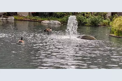 4900 E Chapman Avenue #51, Orange, CA 92869 - Photo 44