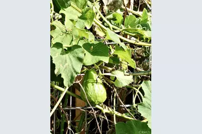 1560 Homewood Road #114-L, Seal Beach, CA 90740 - Photo 50