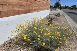 3940 E Calle San Antonio, Palm Springs, CA 92264 - Photo 66