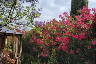 16638 Shuning Ct, Moreno Valley, CA 92551 - Photo 58