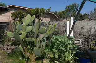 611 W 91st, Los Angeles, CA 90044 - Photo 16