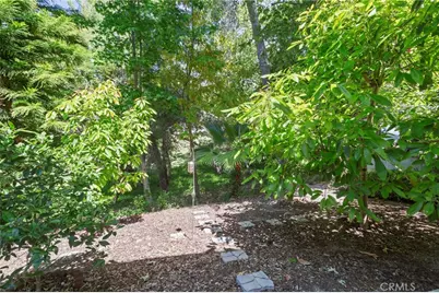 31791 Via Perdiz, Coto de Caza, CA 92679 - Photo 36