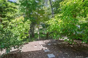 31791 Via Perdiz, Coto de Caza, CA 92679 - Photo 36